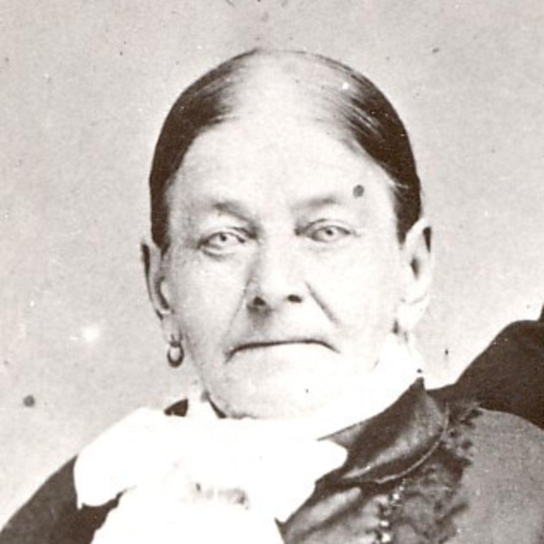 Ann Mariah Fellows (1816 - 1894) Profile